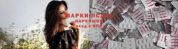 дмт Богородицк