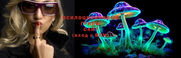 дмт Богородицк