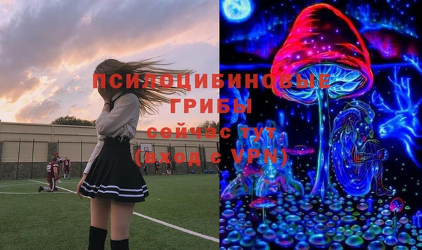 винт Богданович
