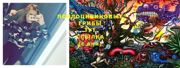винт Богданович