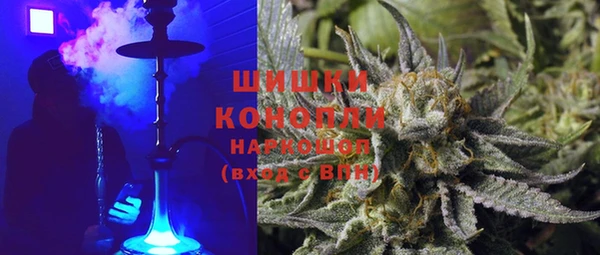 винт Богданович