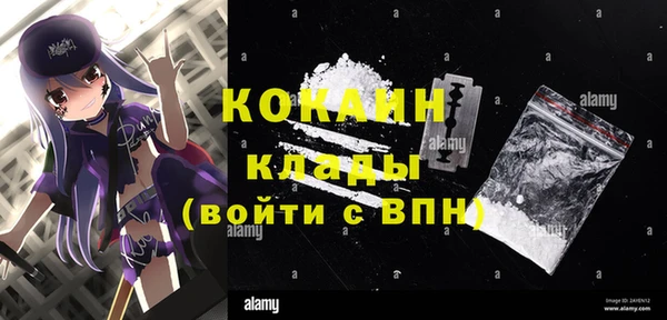 дмт Богородицк