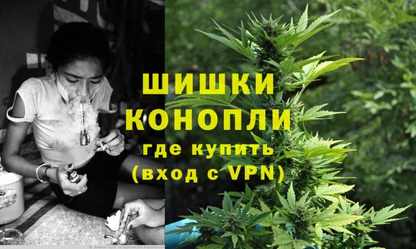 винт Богданович